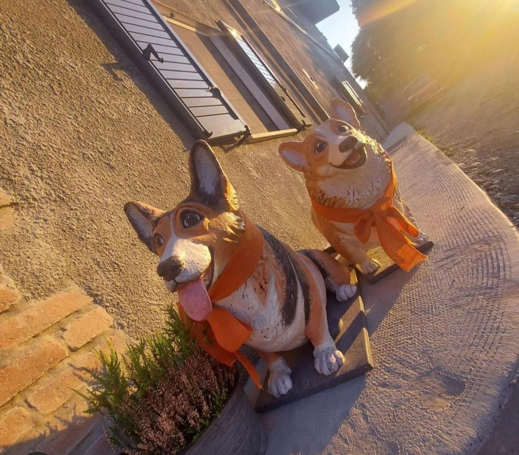 مبيت وإفطار Moncrivello La Tana Dei Corgi المظهر الخارجي الصورة